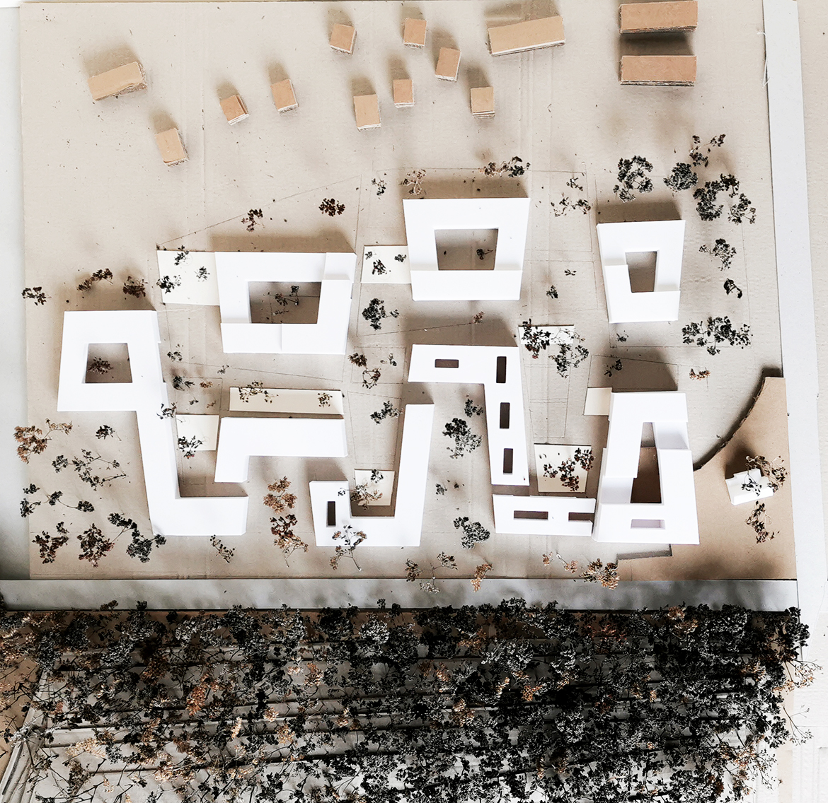 IMG_20210224_164912-Kopie