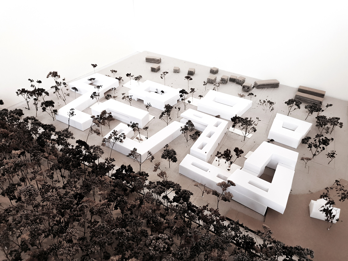 IMG_20210224_165838-Kopie