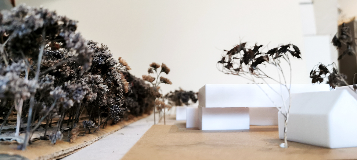 IMG_20210224_170311_1-Kopie